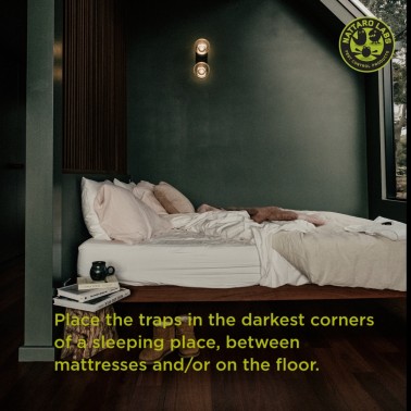Coloque as armadilhas nos cantos mais escuros de um local de dormir, entre os colchões e/ou no chão.