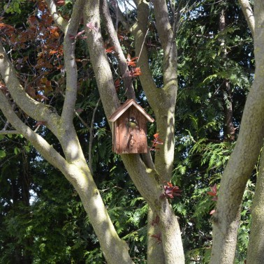 Casa Ninho para Pássaros "Nature" - Ninho de Madeira