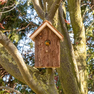 Casa Ninho para Pássaros "Nature" - Refúgio para pequenos pássaros no seu jardim