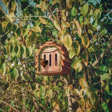 Casa para Borboletas Jardim